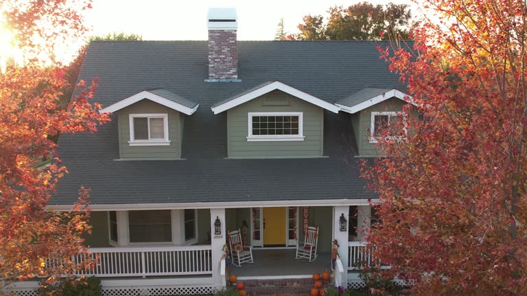 Best Roof Moss and Algae Removal  in South Temple, PA