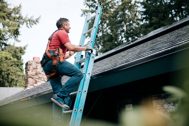 Best Roof Insulation Installation  in South Temple, PA